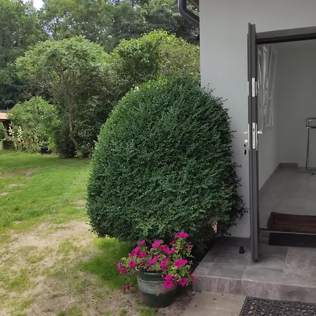 U Sternika Habitación en casa particular *